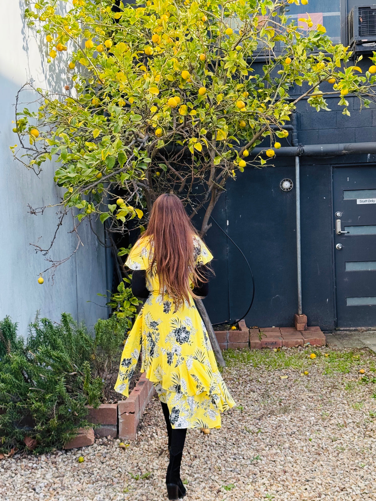 Joseph Ribkoff Floral Wrap Dress In Yellow