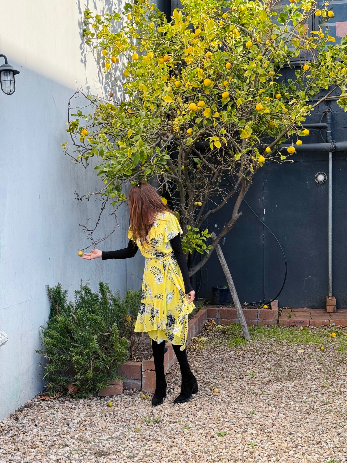 Joseph Ribkoff Floral Wrap Dress In Yellow